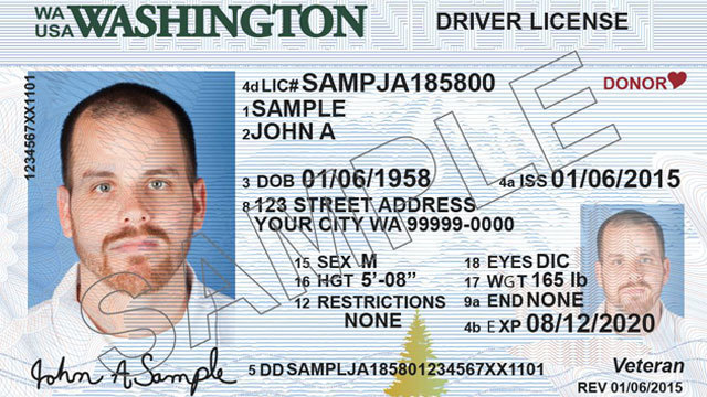 jamaica driver license